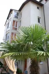 Pensjonat Todor opcja autokar 7/14 dni