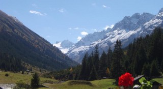 Alpenromantik - Hotel Wirlerhof