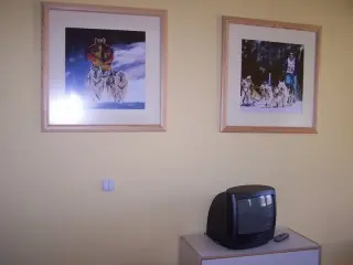 Apartamenty Rodzinne Tatran & Magura
