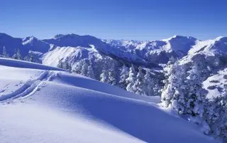 Hotel Auwirt Saalbach Zentrum