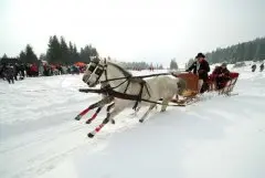 Penzion Una