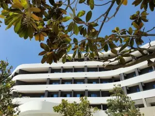 Hotel Montenegrina