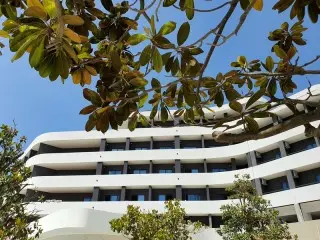 Hotel Montenegrina