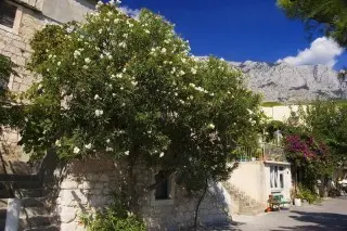 Hotel Noemia