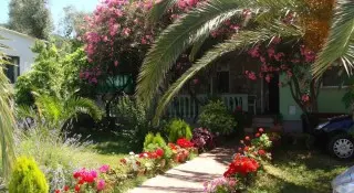 Apartmani Oliva