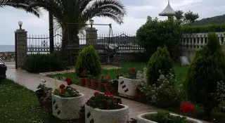 Apartmani Oliva