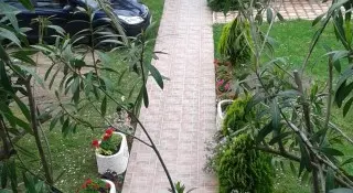 Apartmani Oliva