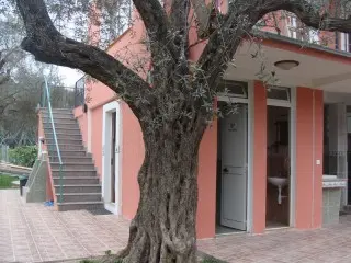 Apartmani Oliva