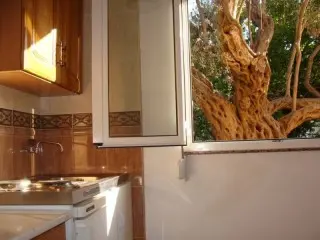 Apartmani Oliva