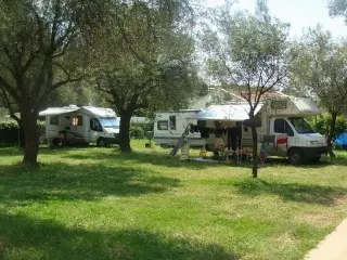 Apartmani Oliva