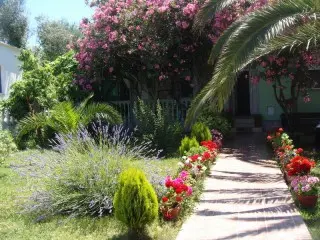 Apartmani Oliva