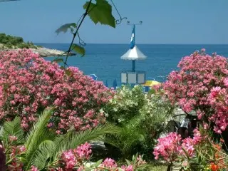 Apartmani Oliva