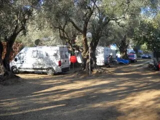 Apartmani Oliva