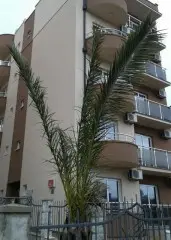 Studio Apartmani Lara S