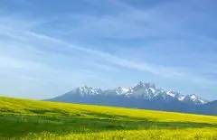 Penzion Paźicky