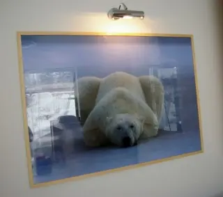 Vila Polar