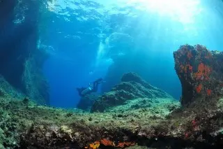 Kompleks Turystyczny Velaris - Villa Vela Luka