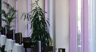 Kompleks Turystyczny Velaris - Villa Vela Luka