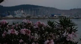 Apartmani Kojic