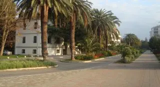Apartmani Kojic