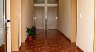 Apartmani Radosavovic