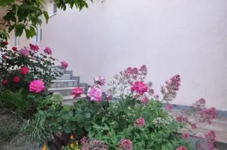 Apartmani Villa Miranovic