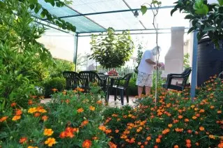 Apartmani Villa Miranovic