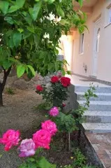 Apartmani Villa Miranovic