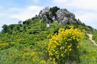 Pansion villa Gojun 