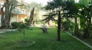 Apartmani Duskic