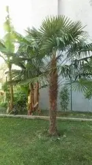 Apartmani Duskic