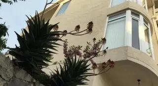 Apartmani Villa Grabovica - 10 dni Nasz Typ !!