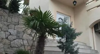 Apartmani Villa Grabovica - 10 dni Nasz Typ !!
