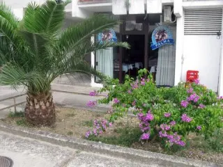 Pansion Palma