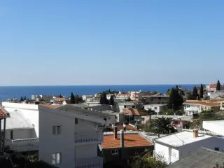 Pansion Palma