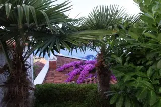 Studio Apartmani Villa Aleksandra