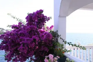 Studio Apartmani Villa Aleksandra