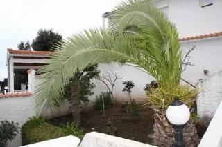 Studio Apartmani Villa Aleksandra