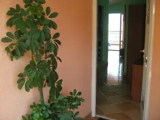 Apartmani Villa Milosevic