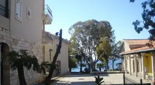 Apartmani Anka