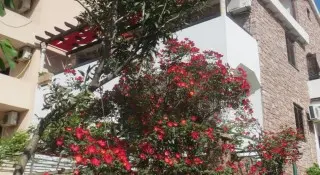 Apartmani Vuković
