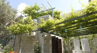 Apartmani Casa di Oliveto