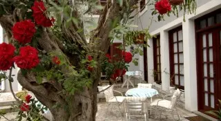 Apartmani Casa di Oliveto
