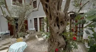 Apartmani Casa di Oliveto