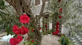 Apartmani Casa di Oliveto