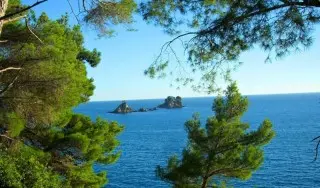 Apartmani Agnesa 
