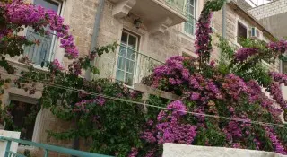 Apartmani Obala Dragović