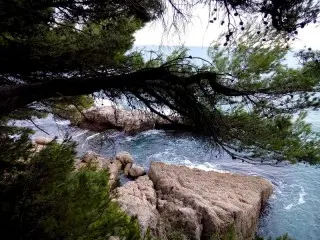 Apartmani Ivanovic