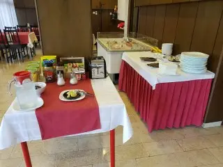 Hotel Ruża
