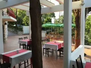 Hotel Ruża